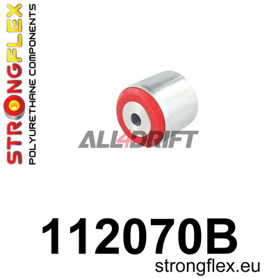 112070B Hátsó differenciálmű tartó – hátsó - Mercedes Klasa R (05-12) W251/V251